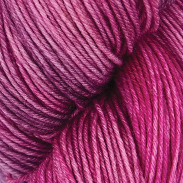 Terra Multicolor, VR2020 Autumn Rose